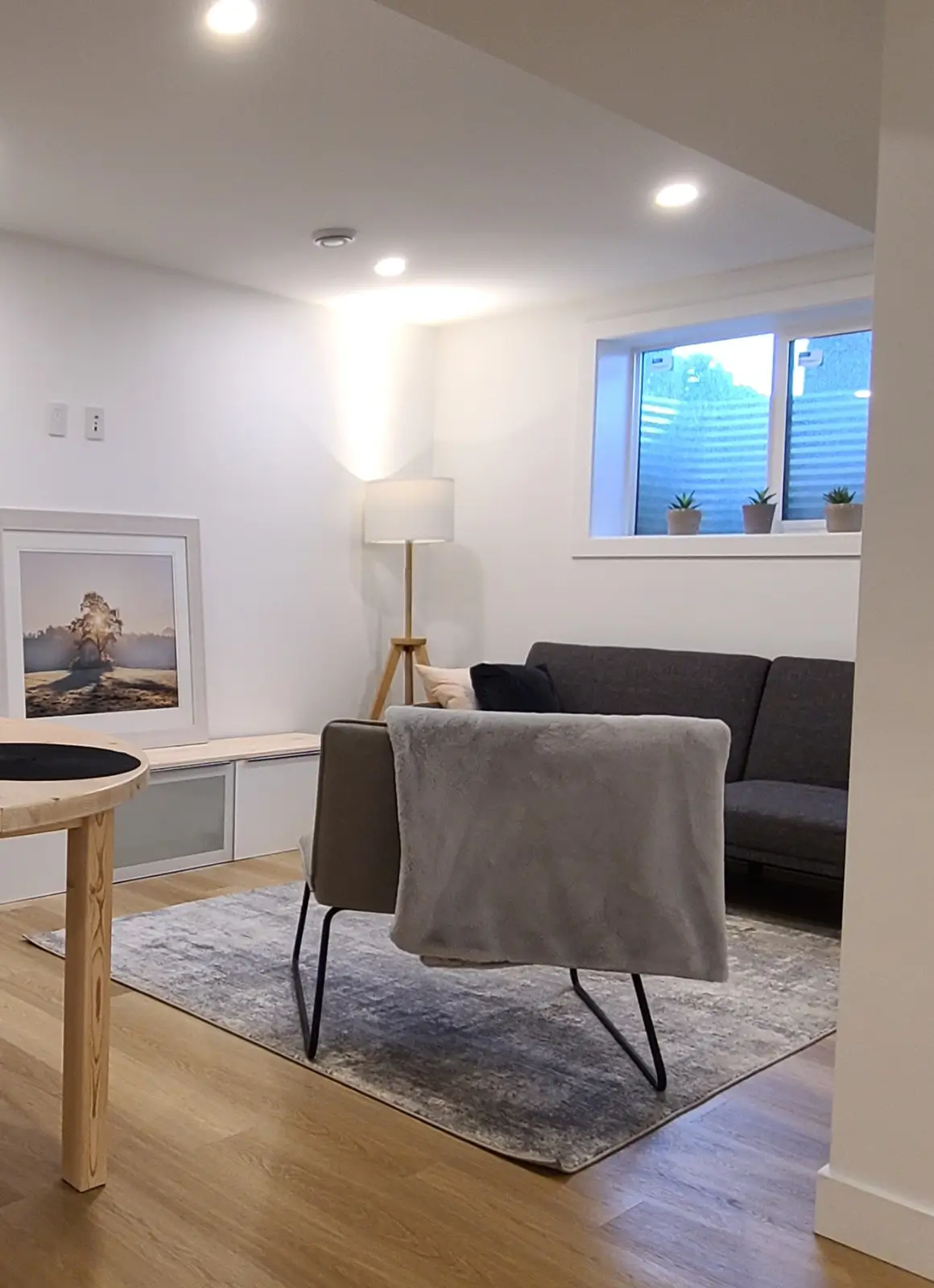 basement renovation